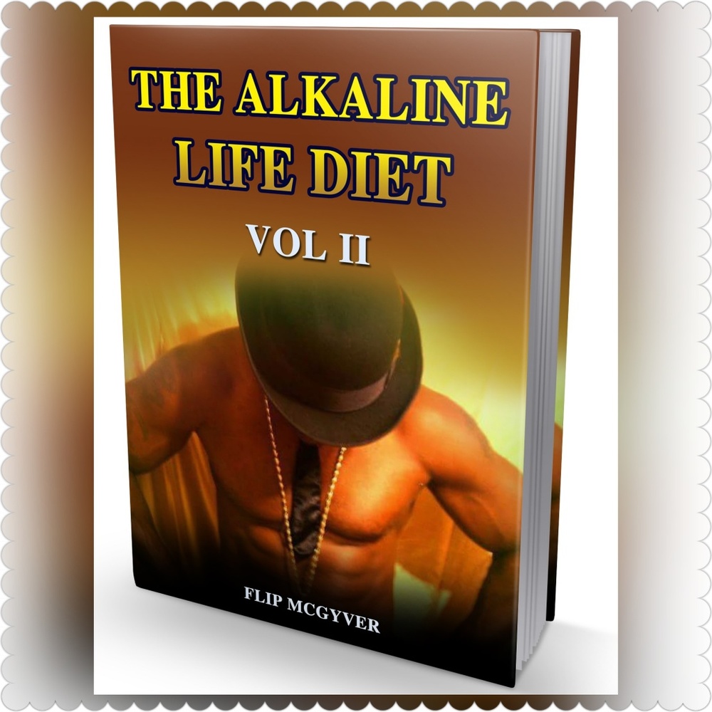 THE ALKALINE LIFE DIET VOL 2 PAPERBACK BOOK